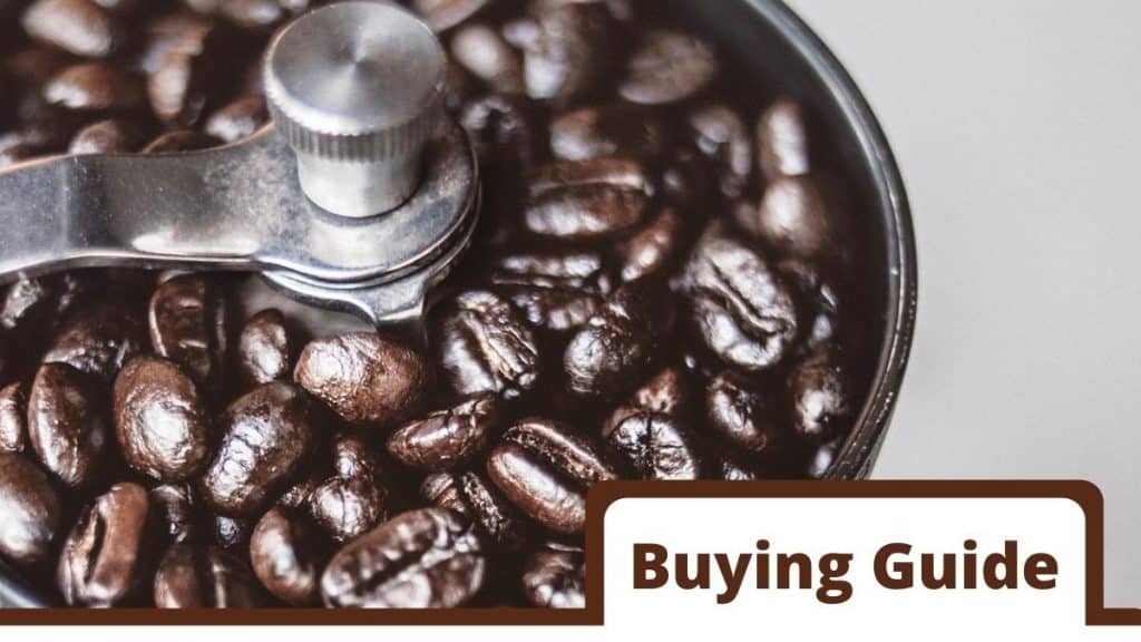 Best Coffee Grinder For French Press (Extensive Buying Guide And