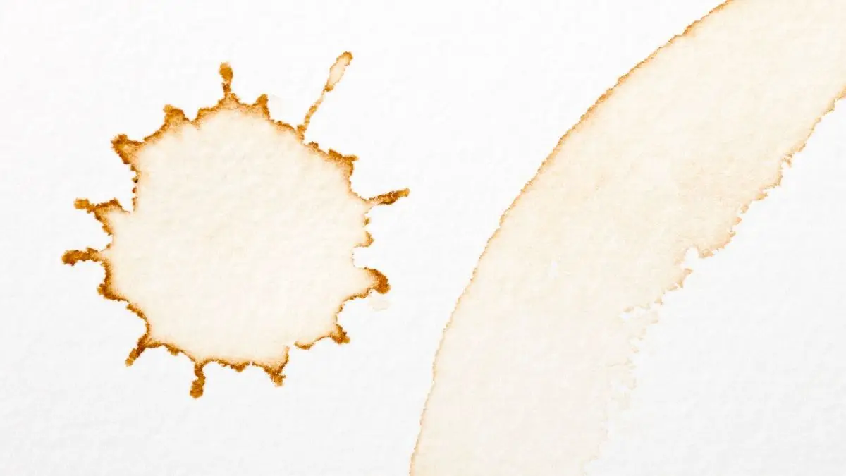 Are Coffee Stains Permanent & How To Remove Them