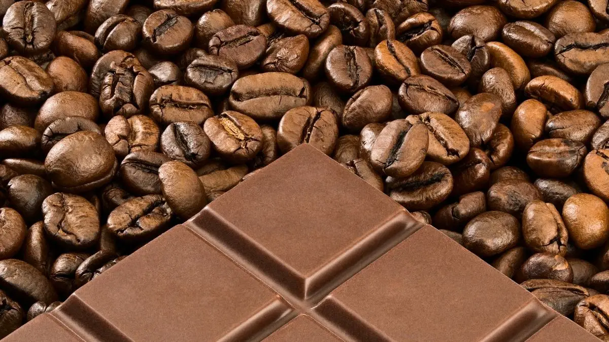 Do Chocolate And Coffee Come From The Same Bean