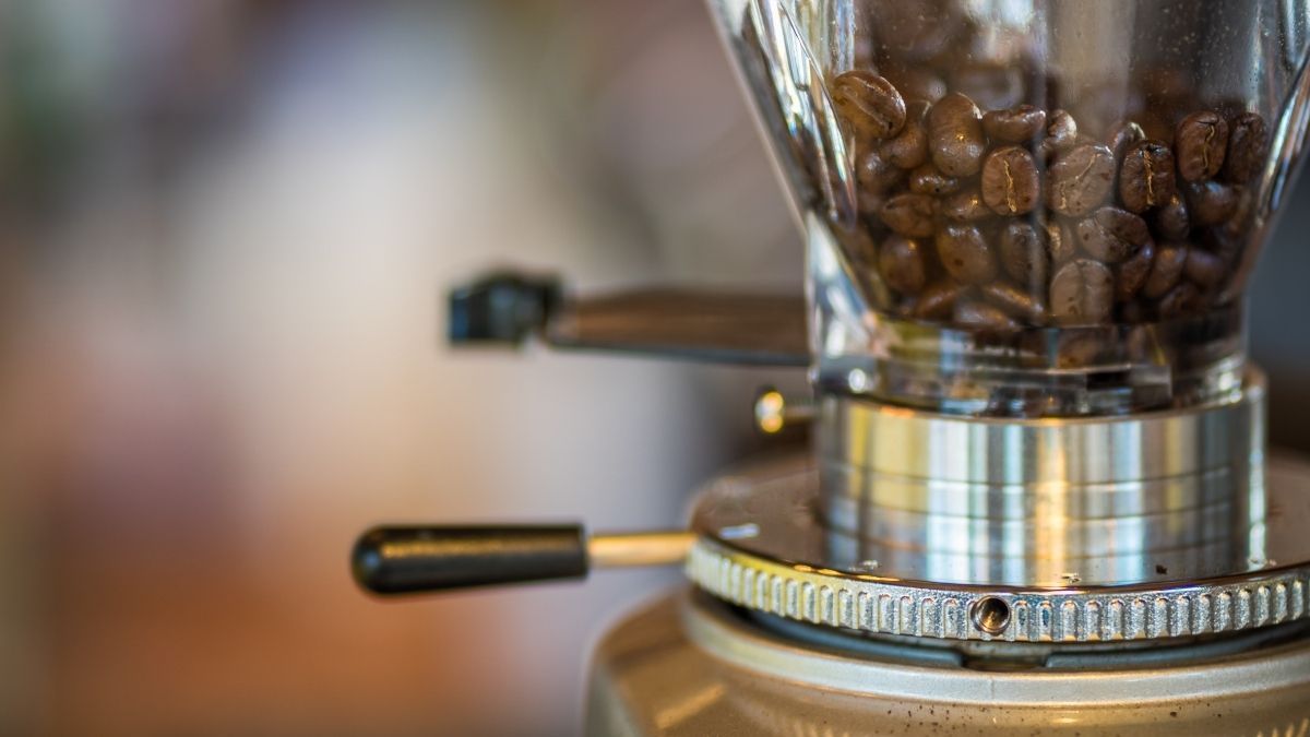 Is An Expensive Coffee Grinder Worth It