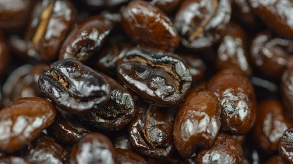 Why Oily Coffee Beans Are Bad For Grinders Fully Explained! Finom